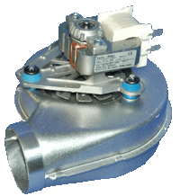 gw micron 60ff e24884 fan.gif